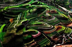 固原有着不看悔怨的世界级美景！